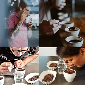 AKIRAKOKI True Titanium, 24K Gold Coffee Cupping Spoon Professional Exploring Coffee Roast Profile - PJT prime