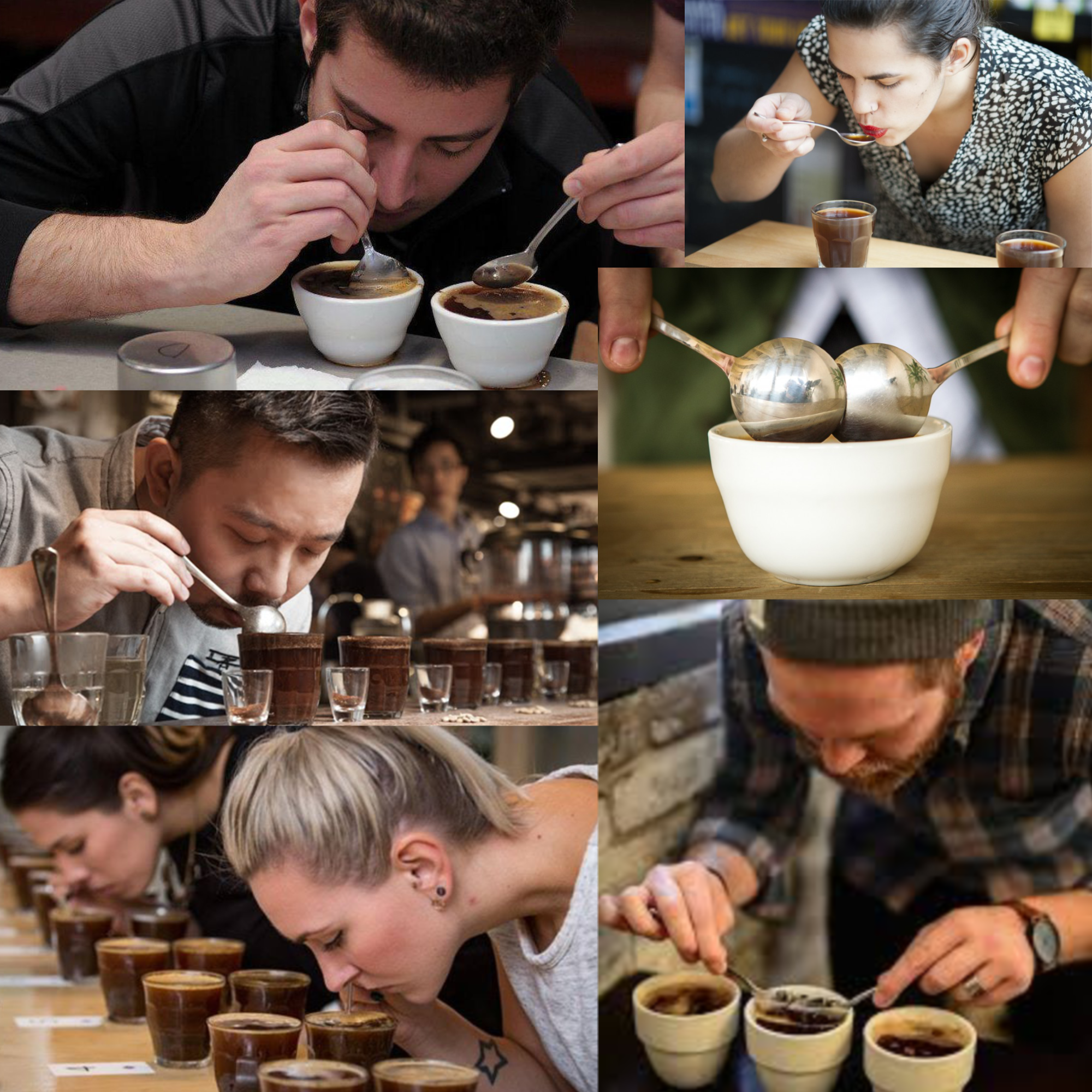 Akirakoki True Titanium Coffee Cupping Spoon Professional Exploring Various Origins, Refining Coffee Roast Profile (Black)